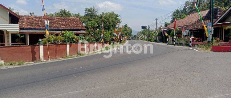 TANAH LUAS MURAH STRATEGIS TINGGAL SATU KAVLING, JALUR WISATA KULON PROGO 1