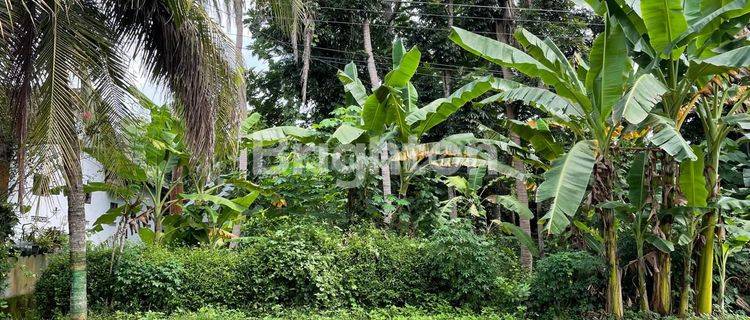 Disewakan Tanah Pekarangan Strategis di Pinggir Jalan Raya Pengasih Kulon progo  1