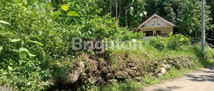 TANAH MURAH BARAT KOTA JOGJA, LINGKUNGAN PERUMAHAN 1