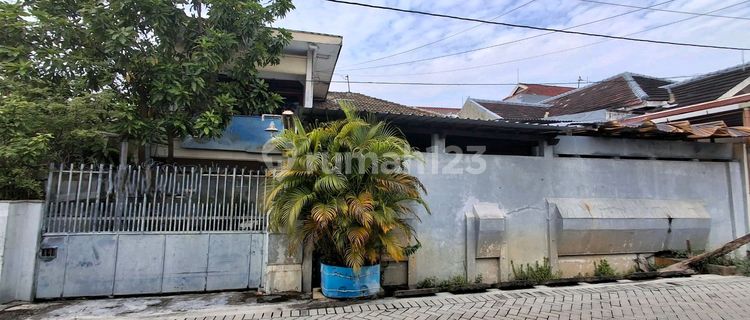 Two-Story House on Gold Land. Rare Find Like This. 1