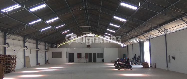 Ready-to-Use Warehouse in Sayung 1