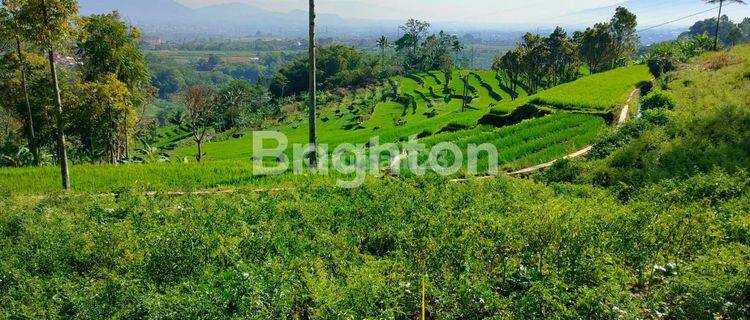 TANAH  SELUAS 2HA LOKASI GARUT 1