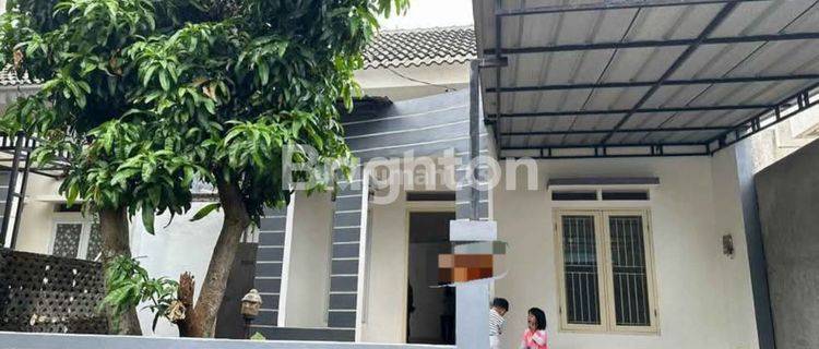 RUMAH SEWA MURAH DAN RAPIH LANSUNG HUNI LOKASI TANAH BARU 1