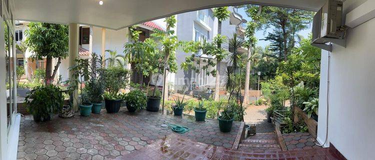 Di jual Rumah di Pantai mutiara SHM Bagus rumah mewah town house pantai mutiara termurah  rumah di jakarta utara 1