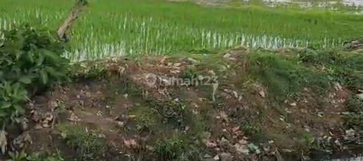 Dijual Lahan Siap Huni di Sukawangi Kabupaten Bekasi  1