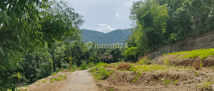 Termurah 100Jtan Tanah Jogja 5 Menit Puncak Sosok Bantul 1