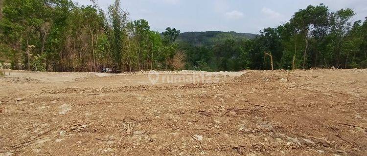  Tanah Jogja Murah Timur Pasar Pleret Murah 900 Ribu m 1