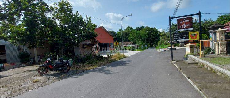 Tanah Jogja Dijual Area Jl. Kaliurang Shmp Cicilan 12x 1