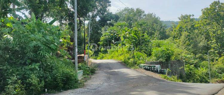 Tanah Murah di Jalan Pleret, Bantul SHM 212 m² 1