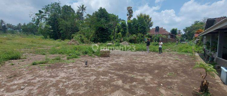 Tanah Jogja Murah di Pakem Sleman, SHM Pekarangan 1