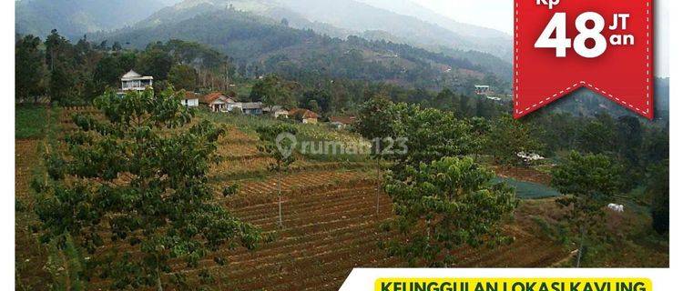 Kavling Stroberi Kawasan Agrowisata Arjasari Bandung Selatan  1