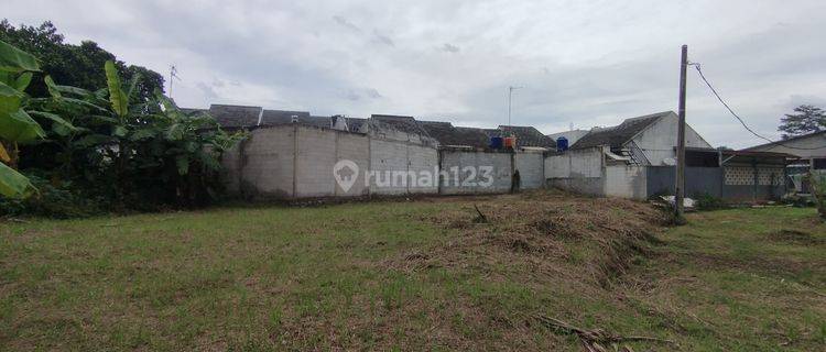 Tanah Kavling Dekat Masjid Al-barkah Rodja Cileungsi  1