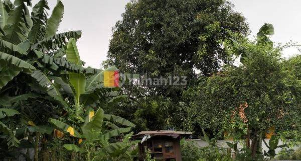 Dijual Tanah di Pondok Kelapa Duren Sawit Jaktim 1