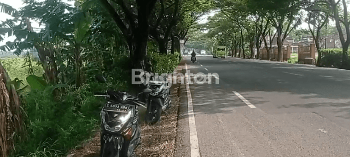 Sawah Lahan Hijau Produktif  Pinggir Jalan Raya  Bojonegoro 1