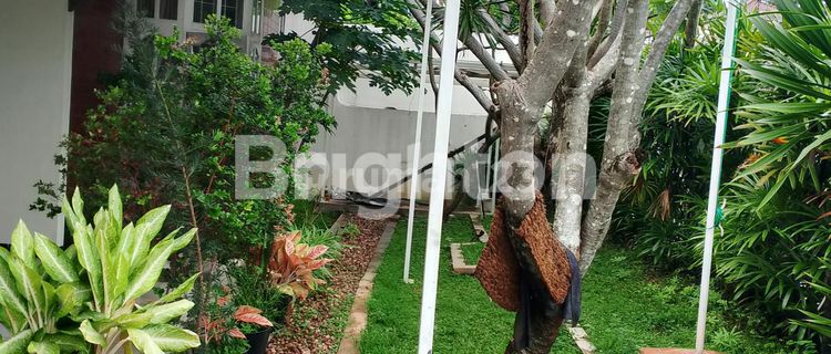 RUMAH BESAR LUAS DAN ASRI 1