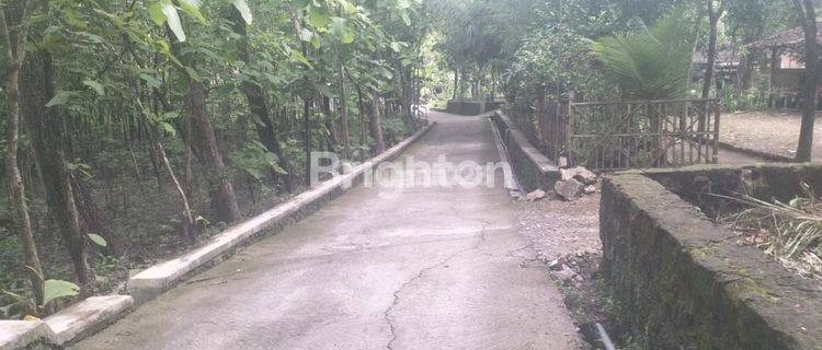 TANAH BONUS POHON JATI -+ 500 POHON , BAYAT, KLATEN 1