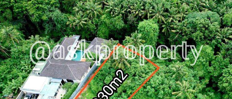 Dijual Tanah Dalam Perumahan Pinggir Sungai Besar Pererenan Bali  1