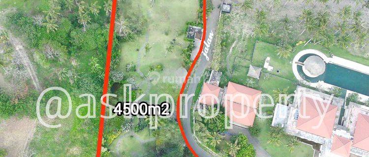 Dijual Tanah Pinggir Pantai Sunset View Pantai Cemagi Bali 1