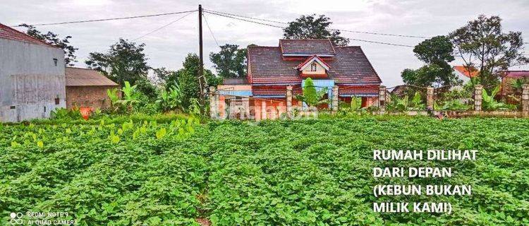 RUMAH / VILLA DGN TANAH LUAS VIEW LANGSUNG GUNUNG SALAK BOGOR 1