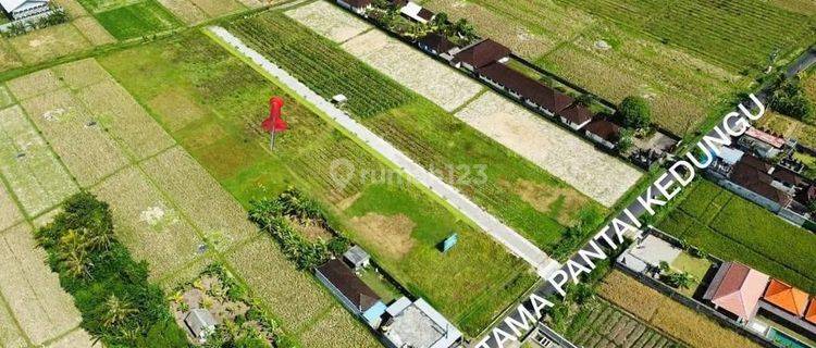 TANAH LANGKA AKSES JALAN UTAMA KE PANTAI KEDUNGU, TABANAN - BALI 1