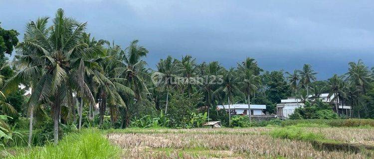 LAHAN BUC VIEW SAWAH DI UBUD SINGAPADU, BALI 1