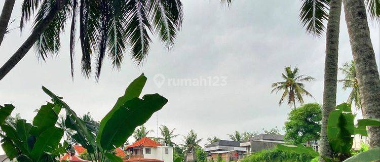 LAHAN VIEW SAWAH DI TEBONGKANG KEDAWATAN, UBUD - BALI 1