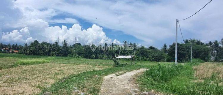 TANAH KOMERSIAL VIEW SAWAH & SUNGAI DI LODTUNDUH, UBUD - BALI 1