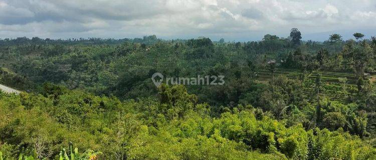 LAHAN  BUC BESAR & MURAH DI PAYANGAN KERTA, UBUD - BALI 1