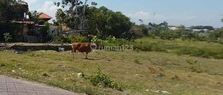 LAHAN UKURAN KECIL DI PANTAI PERERENAN, CANGGU - BALI 1