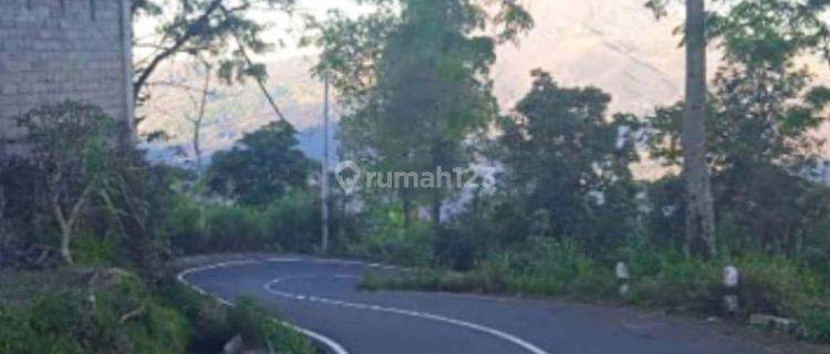 LAHAN DENGAN VIEW GUNUNG DI PENELOKAN, KINTAMANI - BALI 1