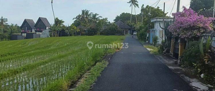 LAHAN MURAH DEKAT PANTAI LALANG LINGGAH DI TABANAN, BALI 1