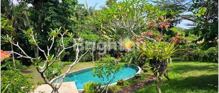 LUXURY VILLA WITH LARGE LAND IN SUKAWATI GIANYAR 1