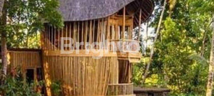 VILLA ARSITEKTUR BAMBU EKSKLUSIF LONG LEASE DITENGAH ALAM BALI YANG MEMPESONA LOKASI TABANAN 1