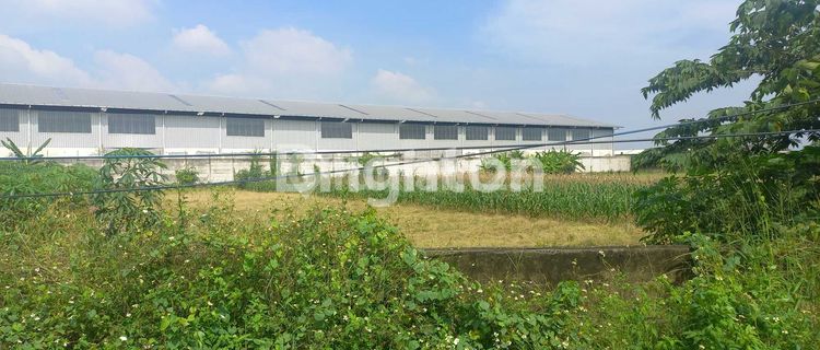 PABRIK / GUDANG STRATEGIS DEKAT TOL KRAPYAK & KALIWUNGU 1