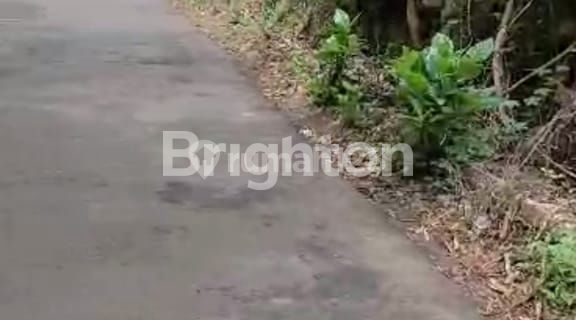 TANAH STRATEGIS MURAH BINGIT HARGA JAUH DIBAWAH NJOP 1