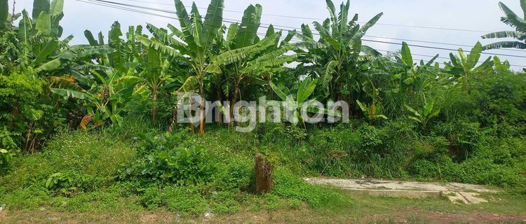 TANAH BAGUS & STRATEGIS DIKAWASAN INDUSTRI TAMBAK AJI SEMARANG 1