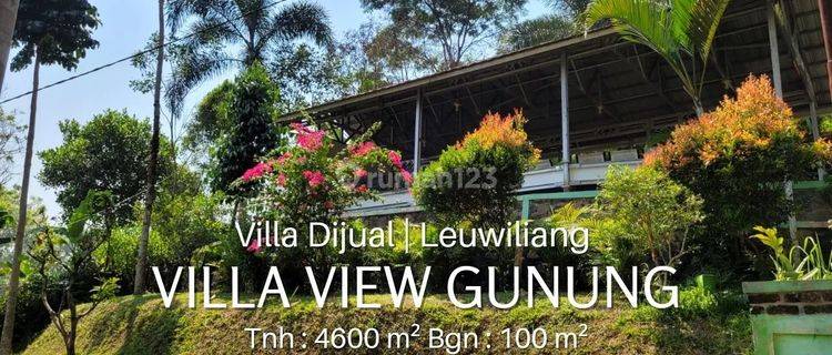 Jual Villa & Kebun Palem di Leuwiliang Bogor  1