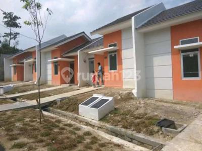 Rumah Murah di Citra Maja Cluster Spring View 1