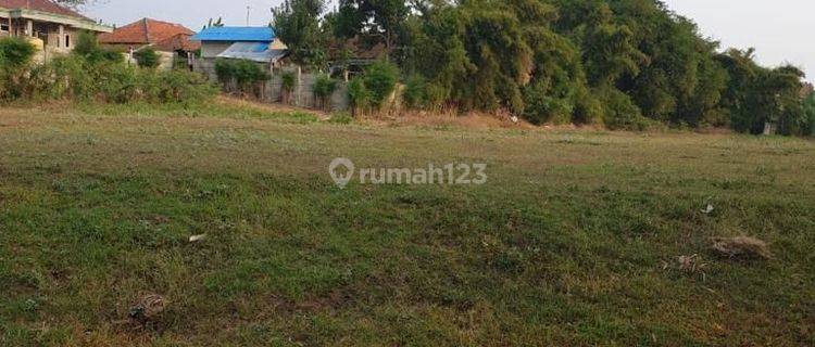 Disewakan Kavling Komersil siap bangun di Delta mas Cikarang Bekasi 1