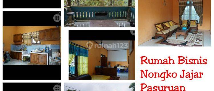 Dijual Peternakan Sapi + Rumah Villa 1