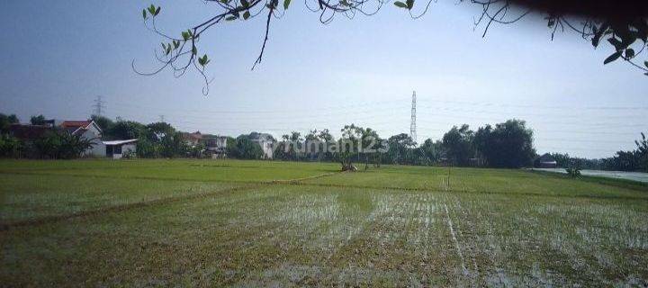 Dijual tanah lokasi strategis 0 km jalan di Jl. Letda Sucipto Tuban luas 18000 m² SHM 1