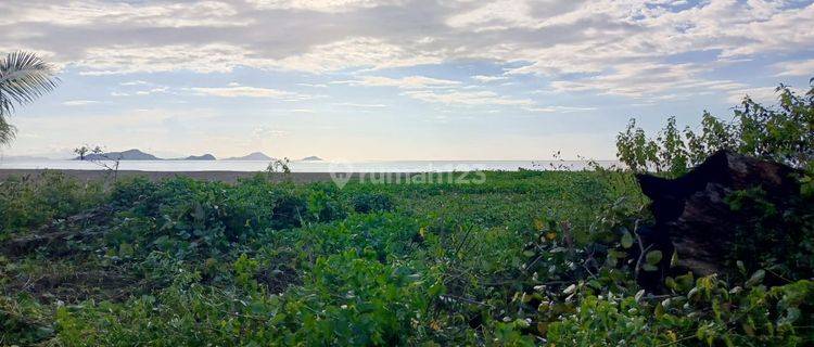 Tanah Kavling Cocok Untuk Usaha Cafe Dipinggir Pantai Labuan Bajo 1