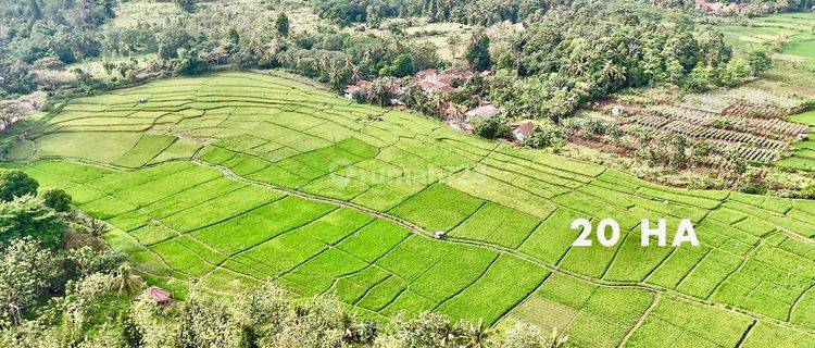 Tanah 20 Ha Strategis Siap Bangun Bisa Beli Parsial Cianjur  1