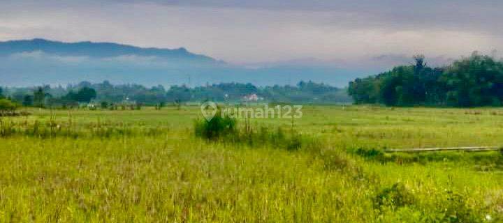 Dijual Tanah 560 Meter Sigumpar Toba Samosir Strategis  1