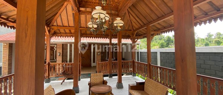 Joglo with Private Swimming Pool in Tourist Area? Only 1.4M Negotiable! 1