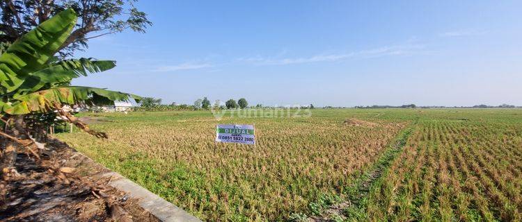 Tanah Murah Indramayu Jawa Barat Posisi Hook  1