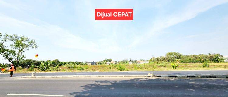 Tanah Strategis Dekat Rs Mitra Plumbon Indramayu Jawa Barat 1