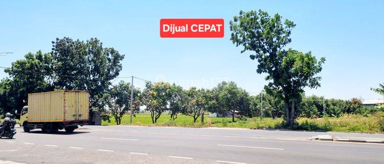 Tanah Jalur Provinsi Row 4 Mobil Jatibarang Indramayu Jawa Barat 1