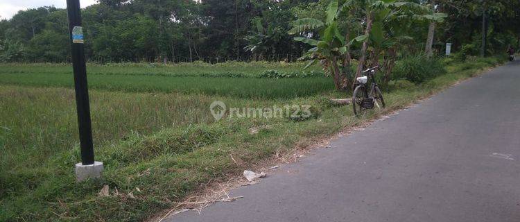 TANAH SAWAH DEKAT JL.KEBON AGUNG  SLEMAN 1