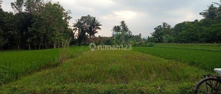 Tanah luas 250 meter dari Jl. Kebon Agung 1